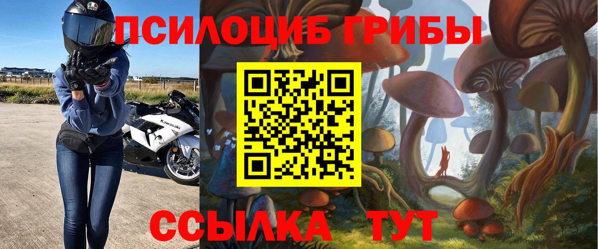 Ростов Великий  как найти   Вход с VPN  Псилоцибиновые грибы ЛСД 